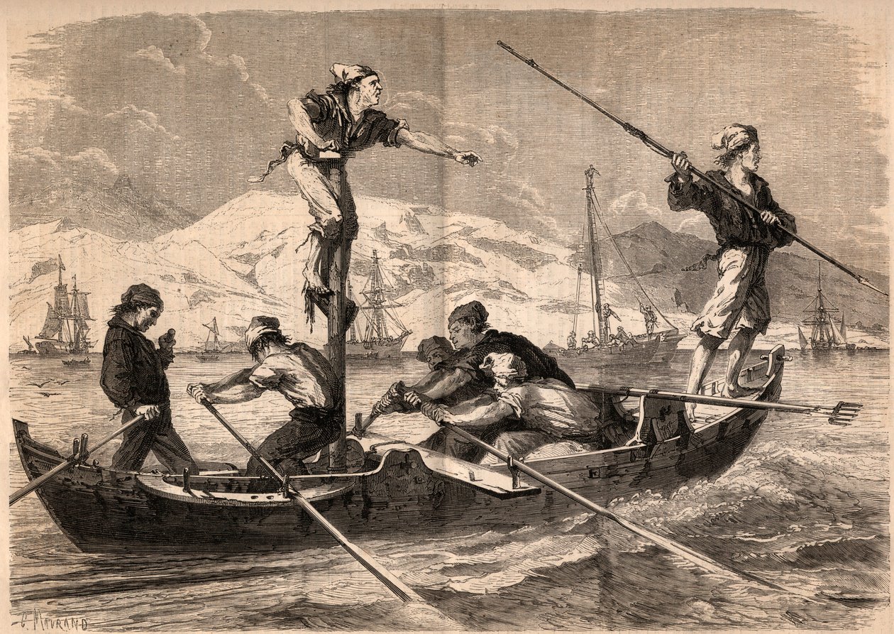 A kardhal szigonyhalászata (pesce spada, kardhal) Szicília partjainál, Olaszországban 1862-ben. „Le Monde illustrious” metszet 1862-ből. Magángyűjtemény. alkotó: Unknown artist