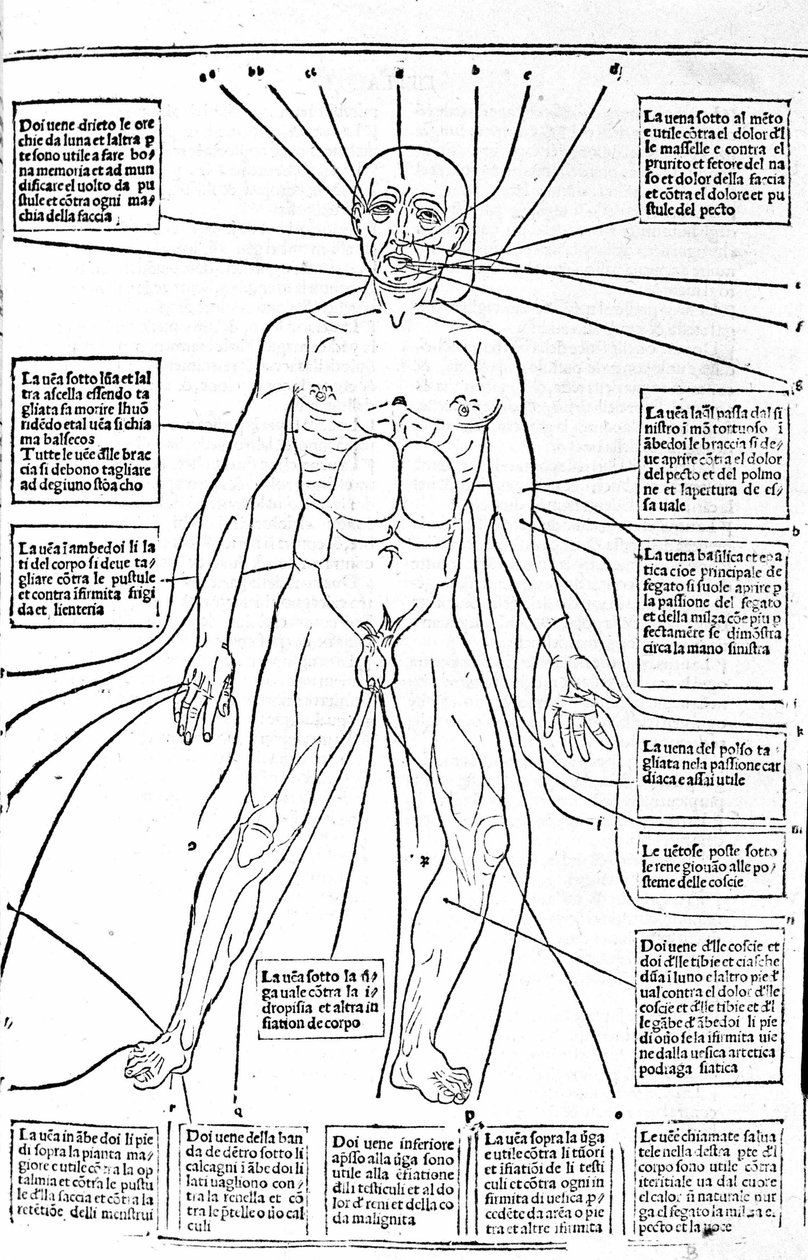 Ez a kép a test helyeit vagy a fájdalomtól függően gyakorolja a vérzést. Az orvostudomány traktátusa, Gerolamo Cardano (Cardanus Hieronymus), Firenze alkotó: Unknown artist