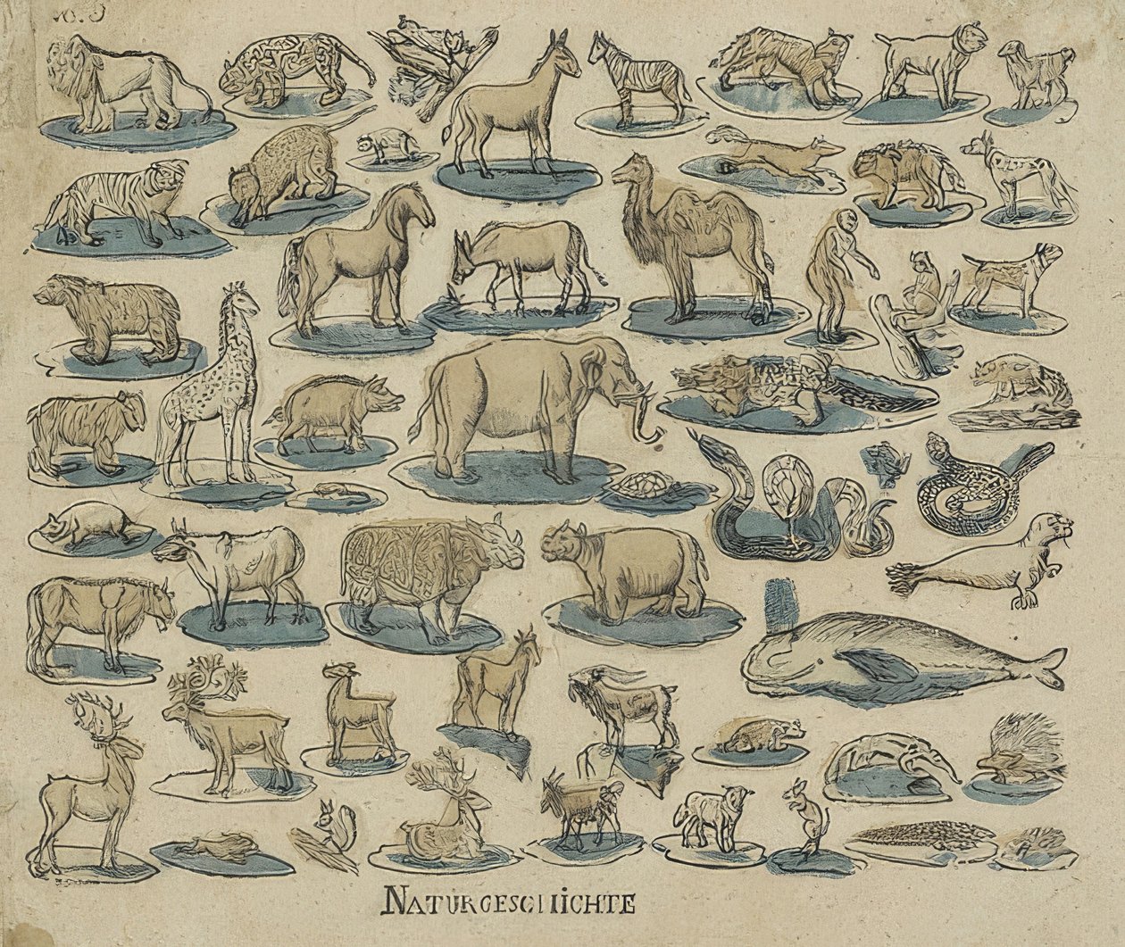 Állatok. 1750-1800 alkotó: Unknown