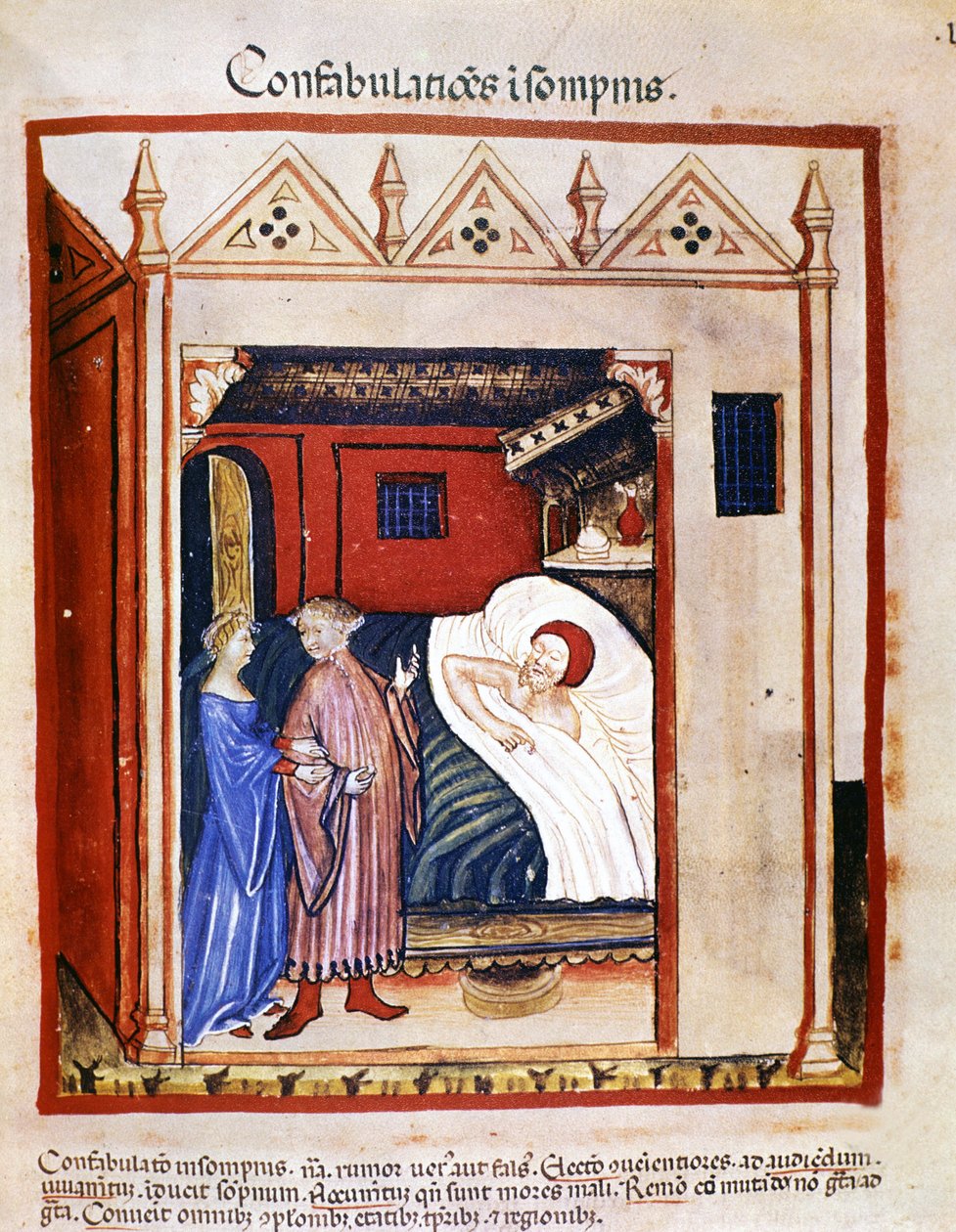 Az orvostudomány „Tacuinum sanitatis” értekezése 14. század: az emberek alvás közben beszélgetnek. 14. század. B.N, Bécs. alkotó: Unknown artist