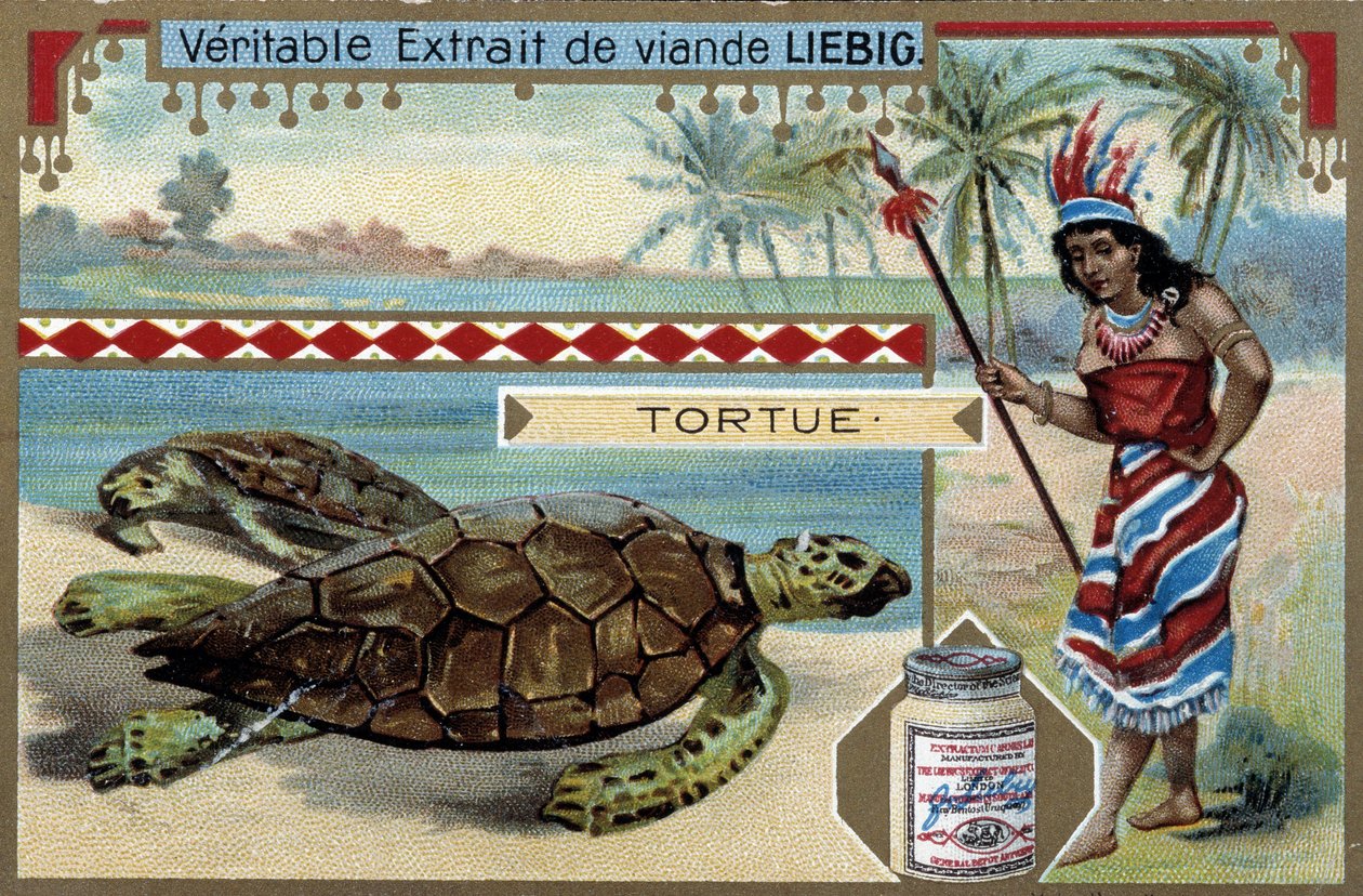 Teknős, dél-amerikai bennszülöttnek öltözött nővel, vadászlándzsával felszerelve - Liebig kromolitográfia alkotó: Unknown artist