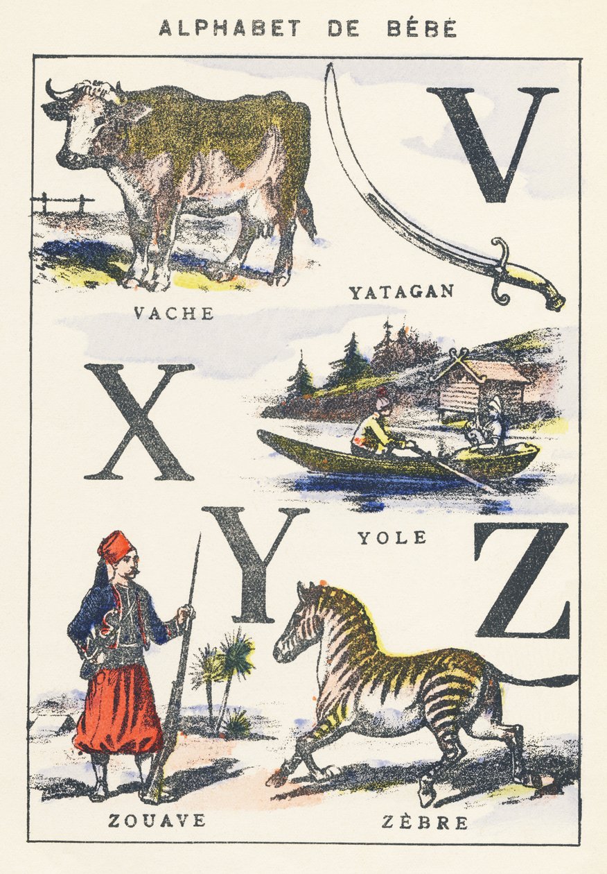 V X Y Z: tehén, fiatal, zouave, zebra alkotó: Unknown artist