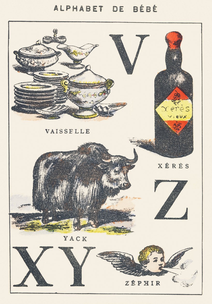 V X Y Z: edények, xeres, jak, zefír alkotó: Unknown artist