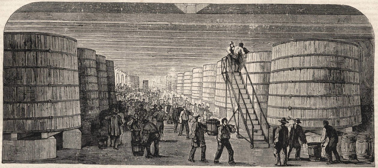 A Chateau - Lafitte pincéjének kilátása 1860-ban alkotó: Unknown artist