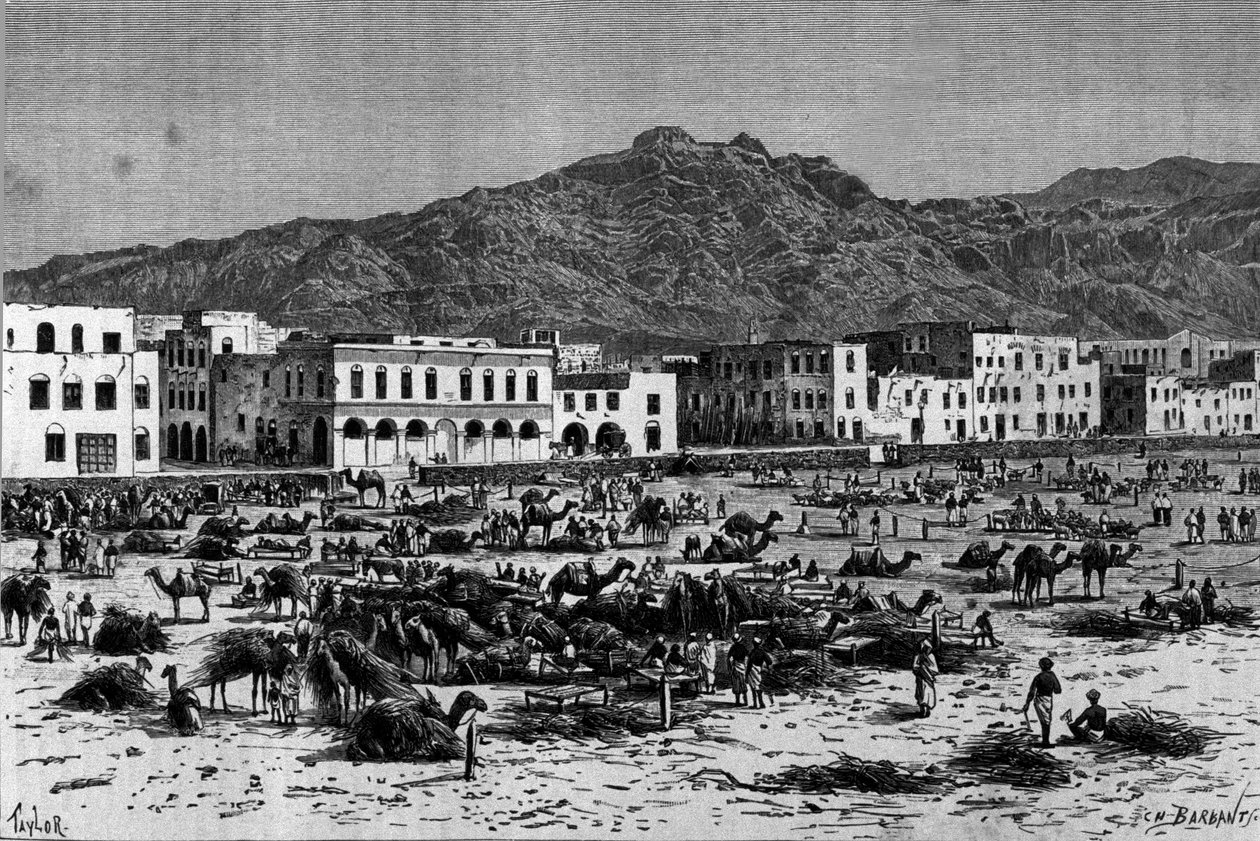 Kilátás Áden felvonulására Abesszíniában. Metszet 1880 körül alkotó: Unknown artist