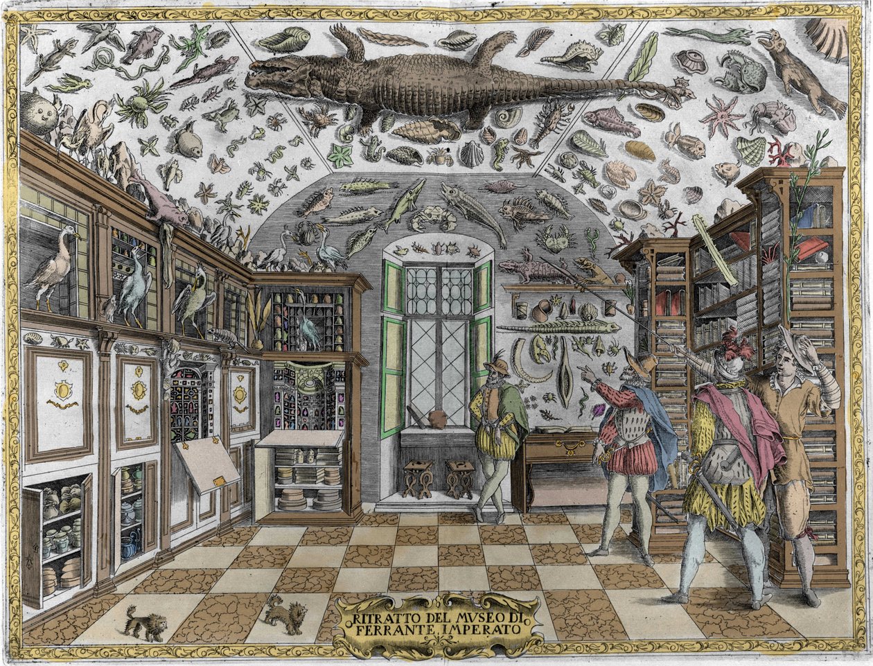 Ferrante Imperato (1550 - 1631) gyógyszerész érdekességeit bemutató múzeum (szekrény) (enciklopédikus múzeum) látképe. Metszet 1678-ból. Ferrante Imperato nápolyi patikus múzeuma. alkotó: Unknown artist