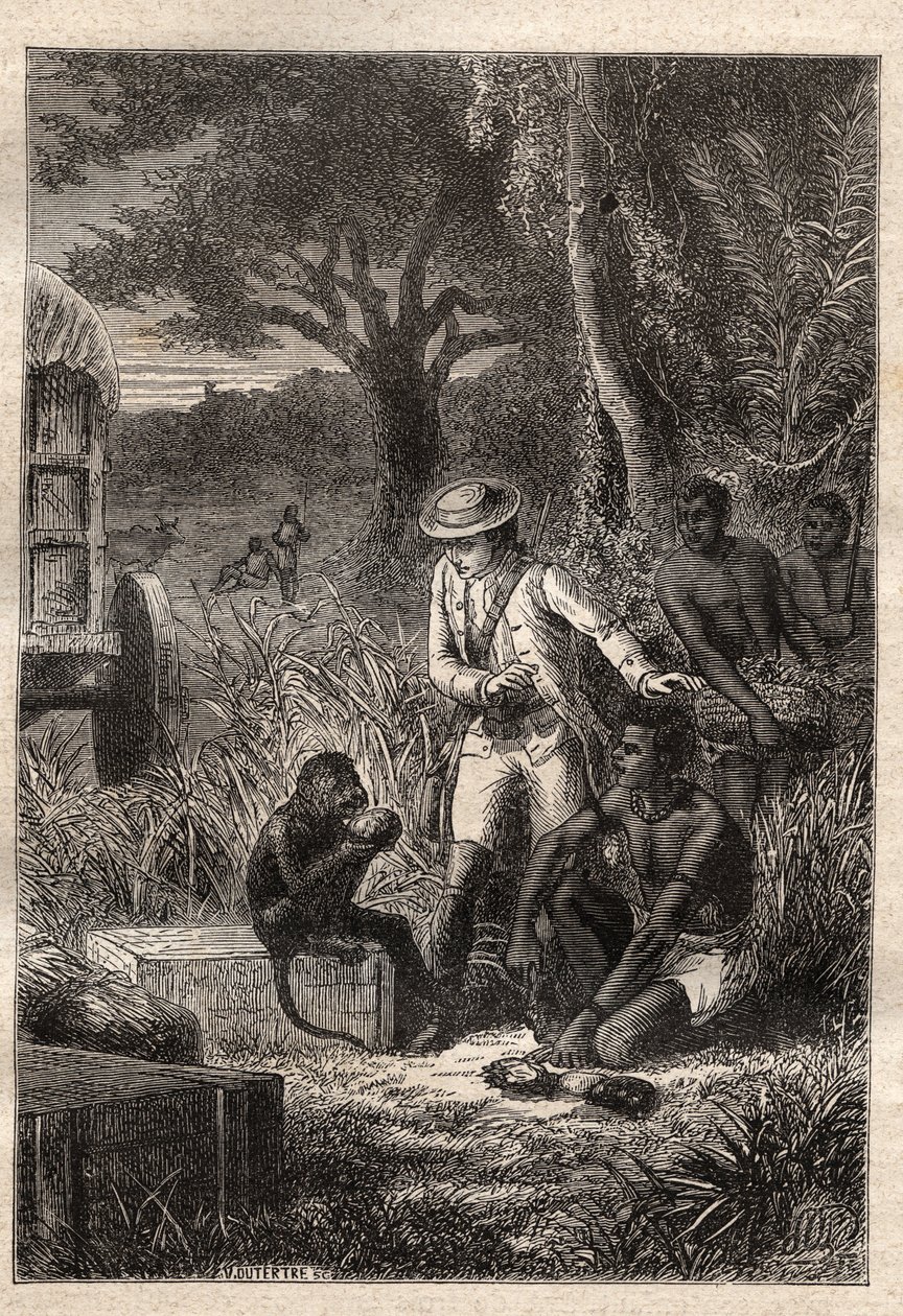 Voyage dans la Caffrerie (Dél-Afrika) (1781), Francois Levaillant (Le Vaillant) (1753-1824): Levaillant és majom-degustátora, Maitre Kees, aki megkóstolja a gyümölcsöket és a gyökereket, hogy megbizonyosodjon arról, hogy ehetőek - az illusztráció "" Les Gr alkotó: Unknown artist