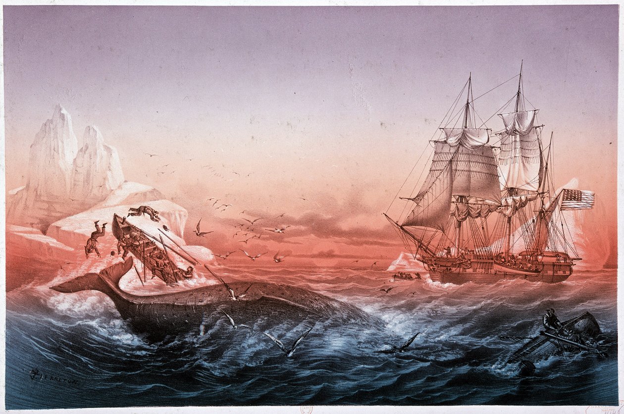 A bálnavadászhajónak nem sikerült megmentenie felborult bálnahajóit alkotó: Unknown artist