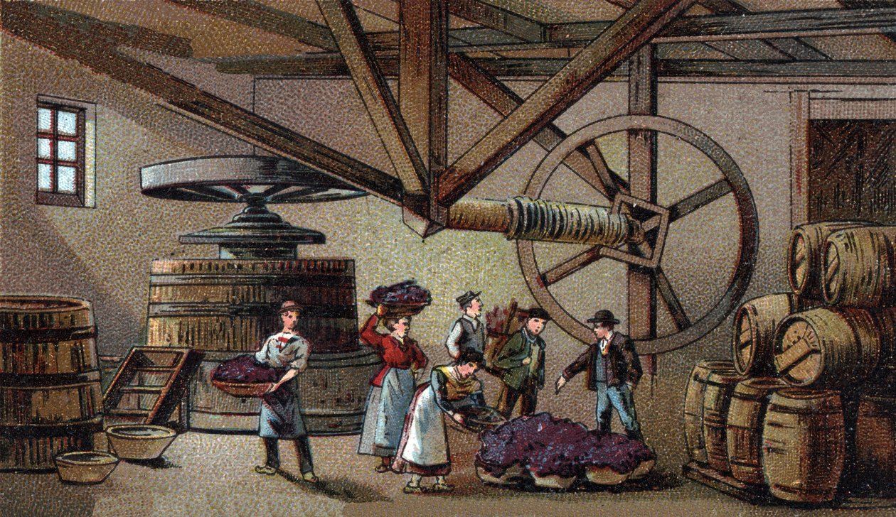 Bortermelés: a beaune-i hospice (clos vougeot) borprése. A 19. század végének kromolitográfiája alkotó: Unknown artist