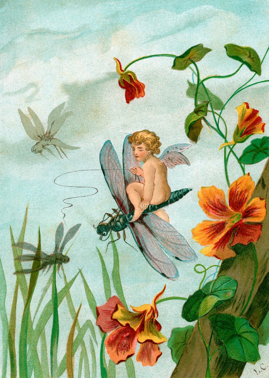 Szárnyas tündér szitakötőn lovagol Nasturtium Flowers közelében alkotó: Unknown artist
