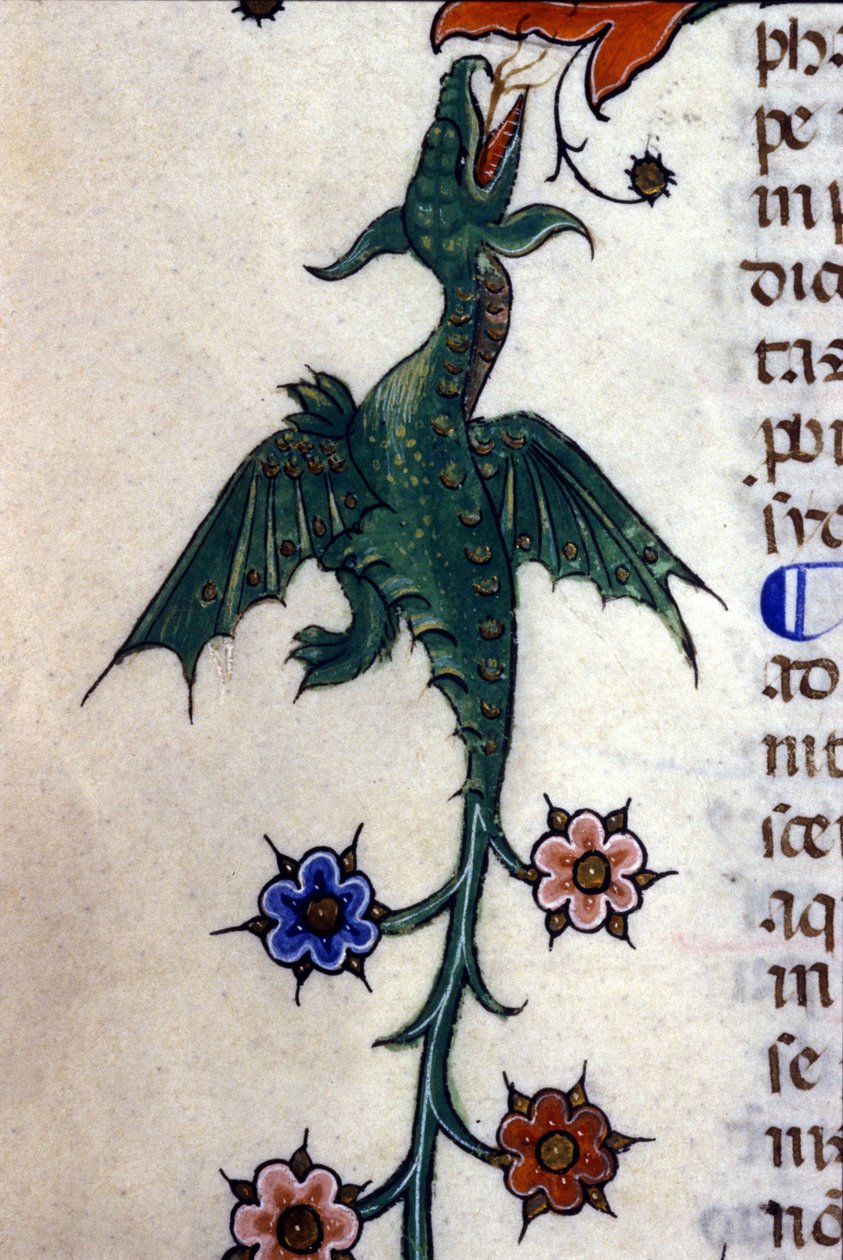 Szárnyas sárkány, Caspic, egy 14. századi kéziraton, Milan, Biblioteca Nazionale Braidense. alkotó: Unknown artist