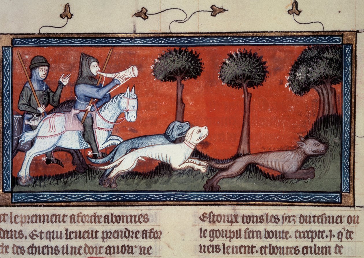 Farkasvadászat Miniatűr kéziratból fr. Henri de Ferrieres 1297-es „” könyve Modus királyról és a királynő arányáról” (14. század) alkotó: Unknown artist