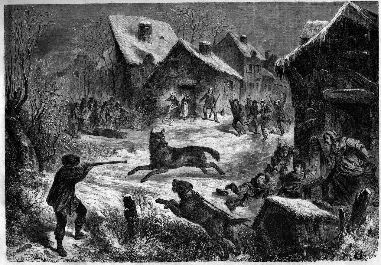Farkasvadászat Saliers faluban, Bouches du Rhone (13), 1860. december 31. Metszet a „” Le Monde Illustré”” n¡196-ban, 1861. január 12.. alkotó: Unknown artist