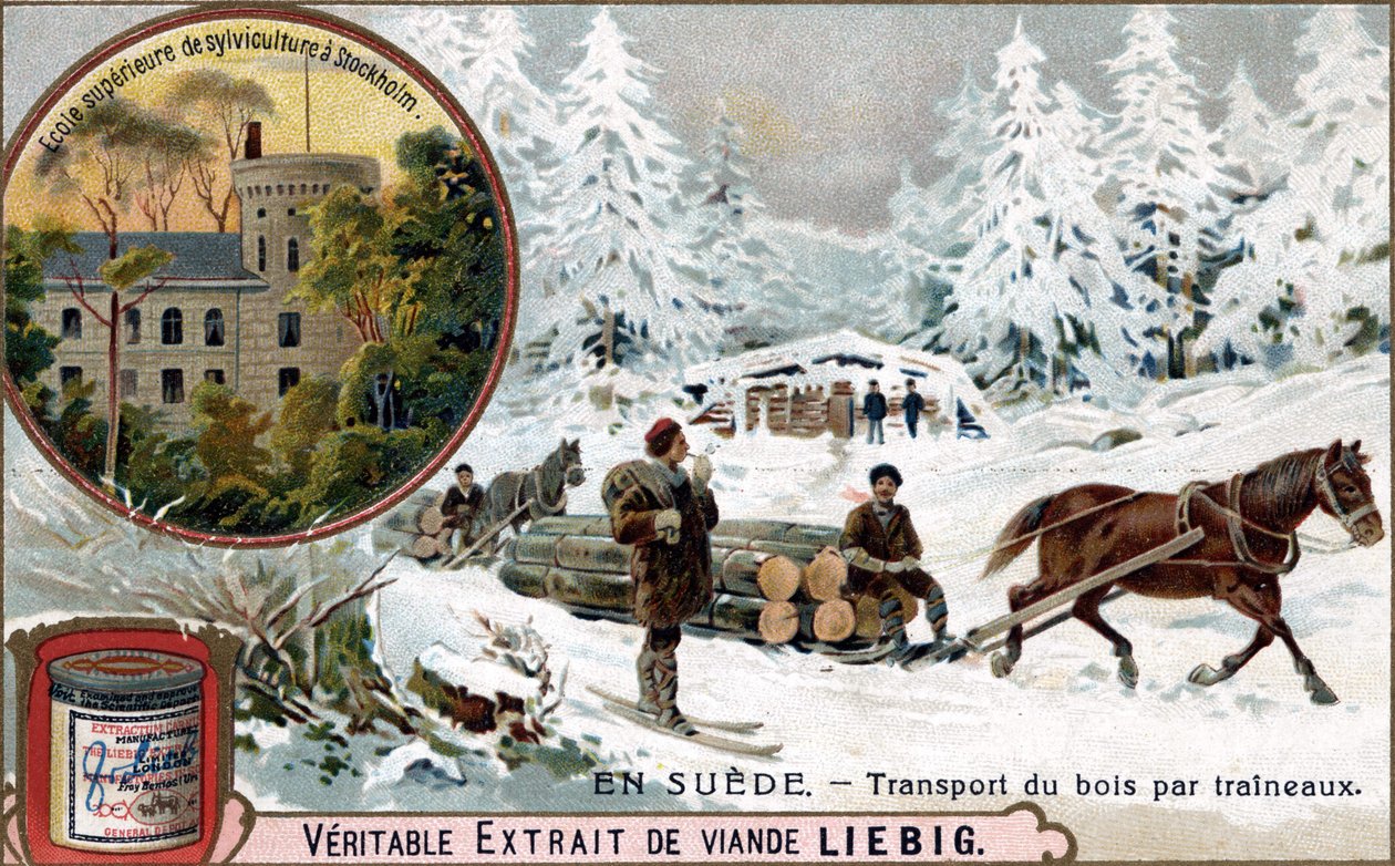 Faszállítás szánkóval, Svédország. Kromolitográfia, Liebig-kép. alkotó: Unknown artist