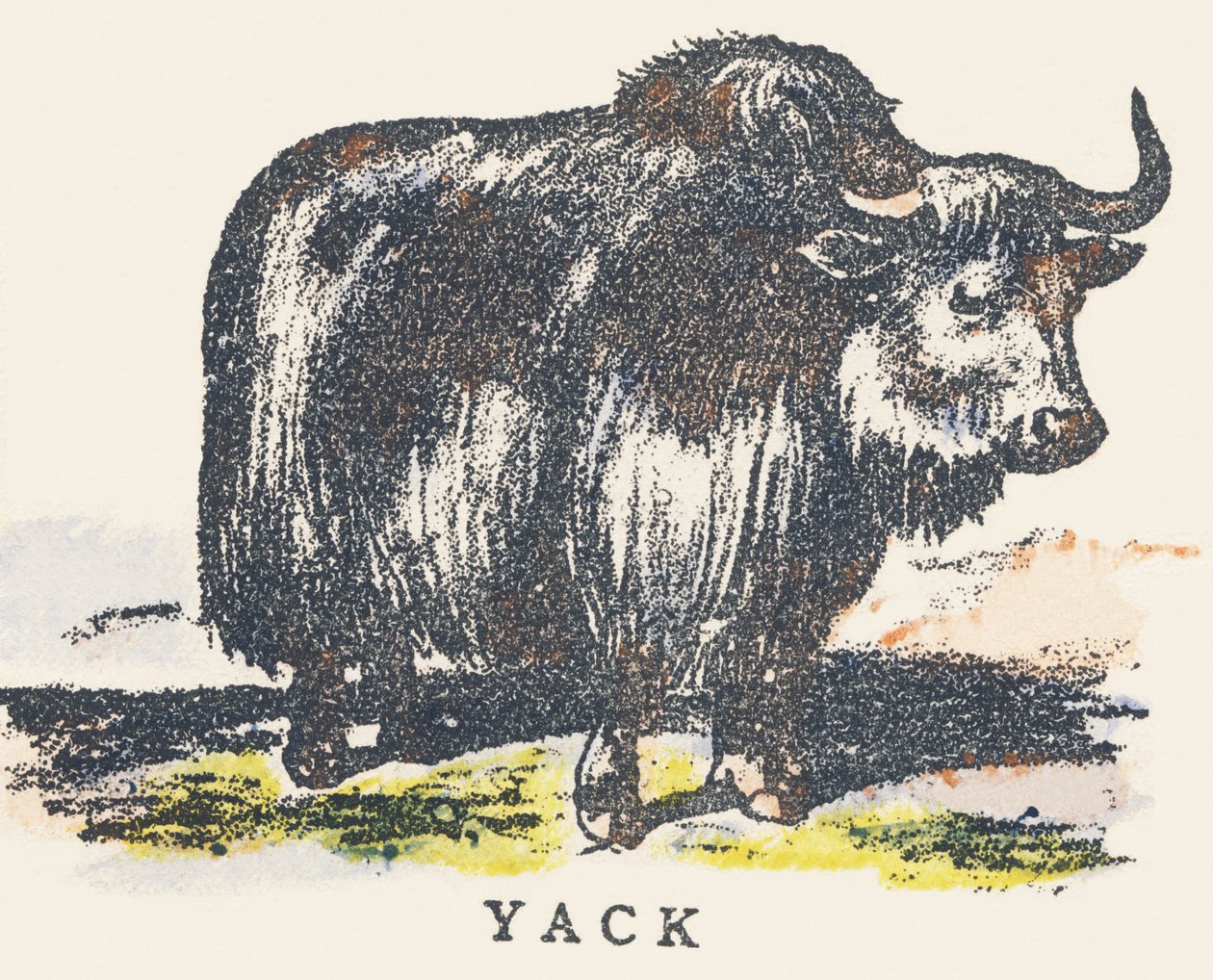 Y: jak alkotó: Unknown artist