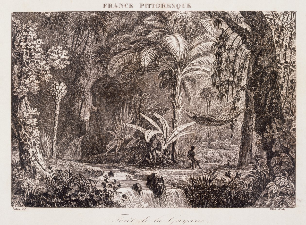metszet, amely a dél-amerikai Guyana francia gyarmatot ábrázolja 1850 alkotó: Unknown artist