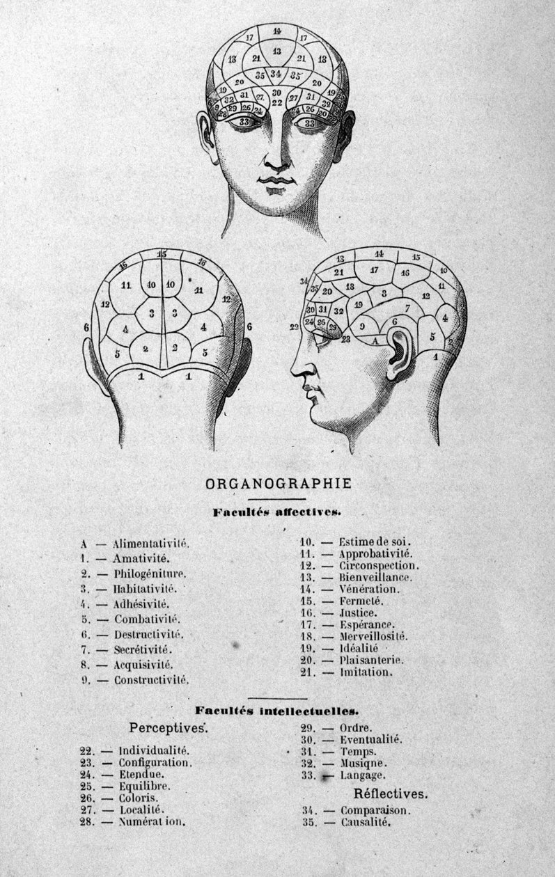 illusztráció Charles Rouvin 1873-as Organographie La Tête humaine című könyvéből, illusztrált frenológiai és fizionómiai tanulmányok híres szereplőkre alkalmazva Párizs 1873 alkotó: Unknown artist