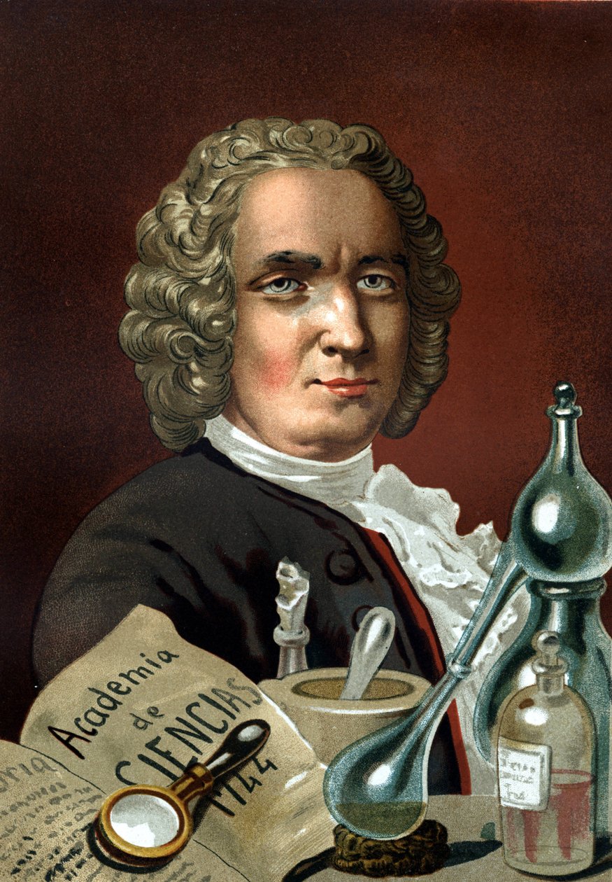 Guillaume Francois Rouelle portréja. francia kémikus (Mathieu, Caen közelében alkotó: Unknown artist