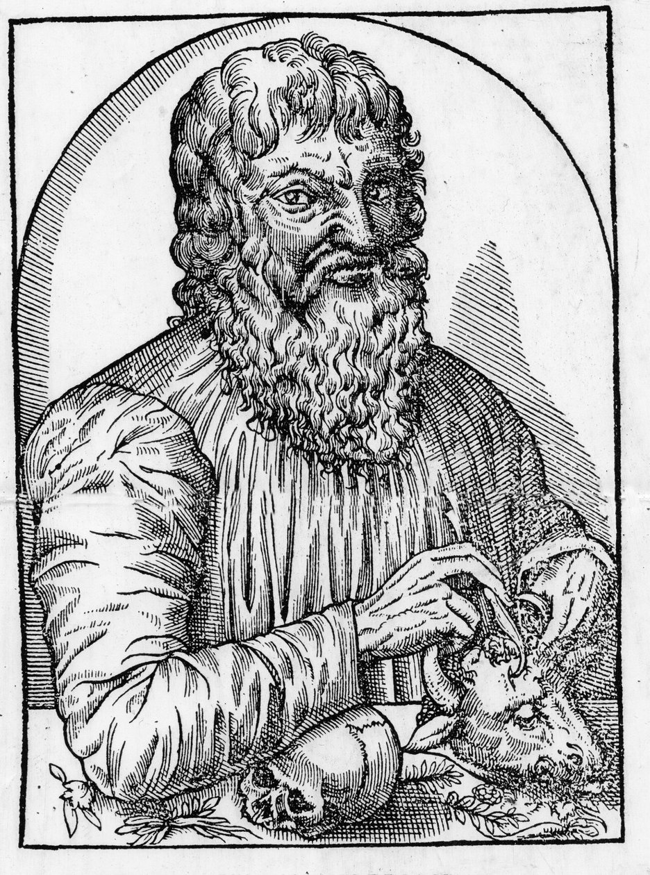 Hippokratész (460- Kr. e. 377 körül), görög orvos portréja. alkotó: Unknown artist