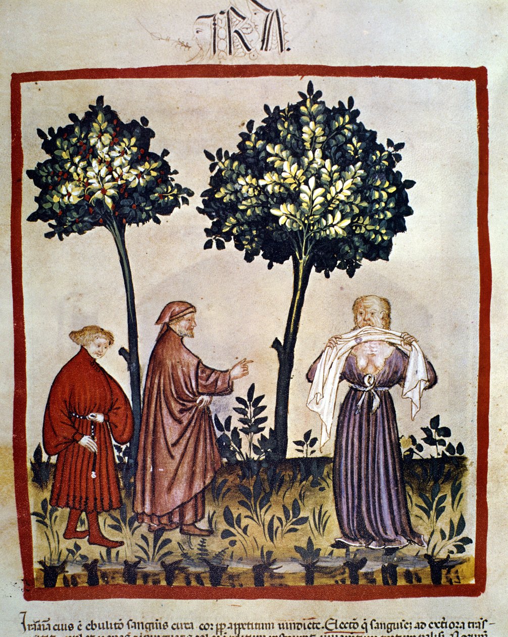 veszettség vagy dühös személy, aki szövetet szorít a fogai közé. A „Tacuinum Sanitatis” 14. századi világítása, Bécs, Nemzeti Könyvtár. alkotó: Unknown artist
