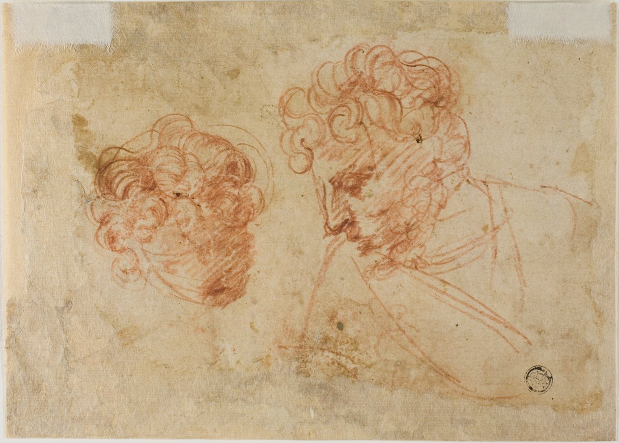 Két fejvázlat (recto); Két vázlat drapírozott nőről (verso) alkotó: Unknown Florentine