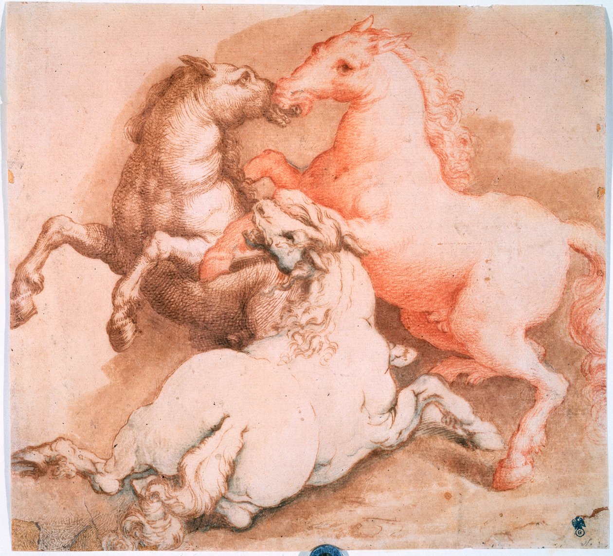 „Fighting Horses”, c1550-1600 alkotó: Unknown Old Master