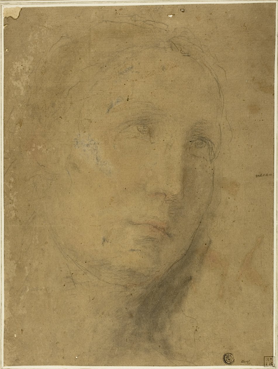 Fej felfelé néz alkotó: Unknown Sienese