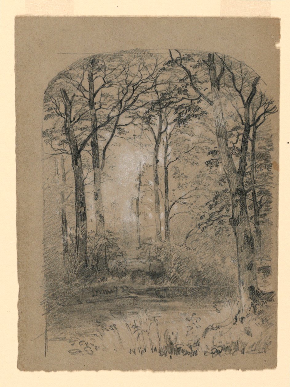 Rajz, erdőtanulmány, 1865-70 alkotó: Unknown artistUnknown artist
