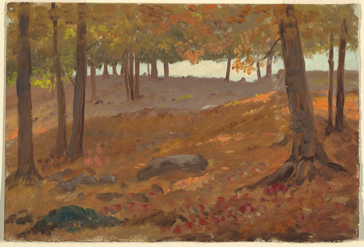 Rajz, Őszi erdő, 1870-80 alkotó: Unknown artistUnknown artist