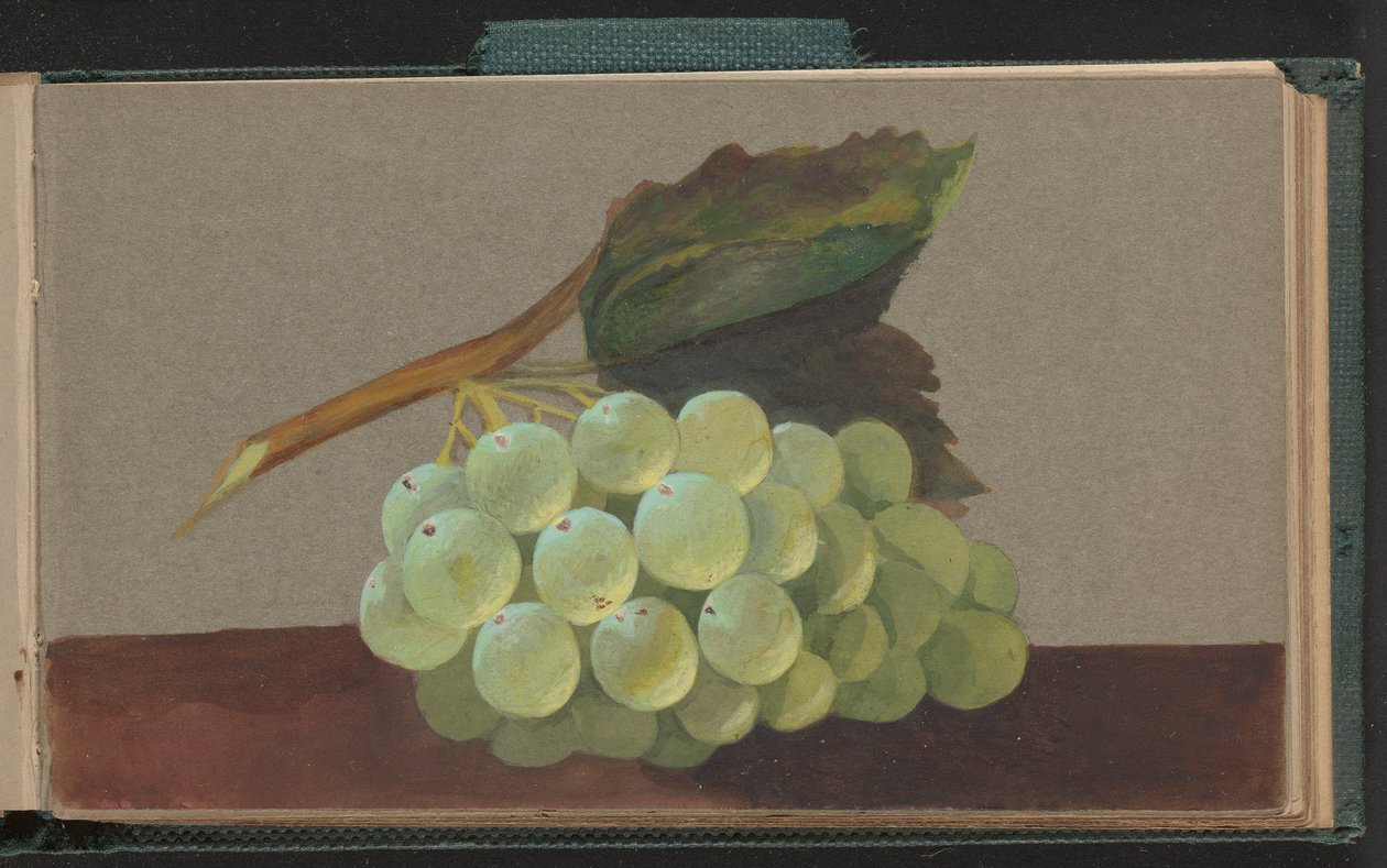 Egy fürt szőlő alkotó: Unknown artist