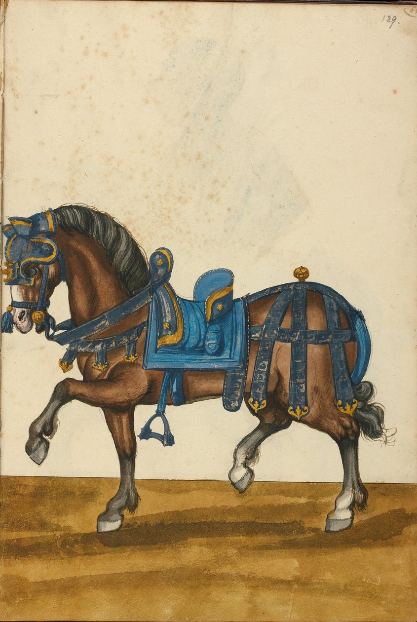 Egy ló páncélban alkotó: Unknown artist