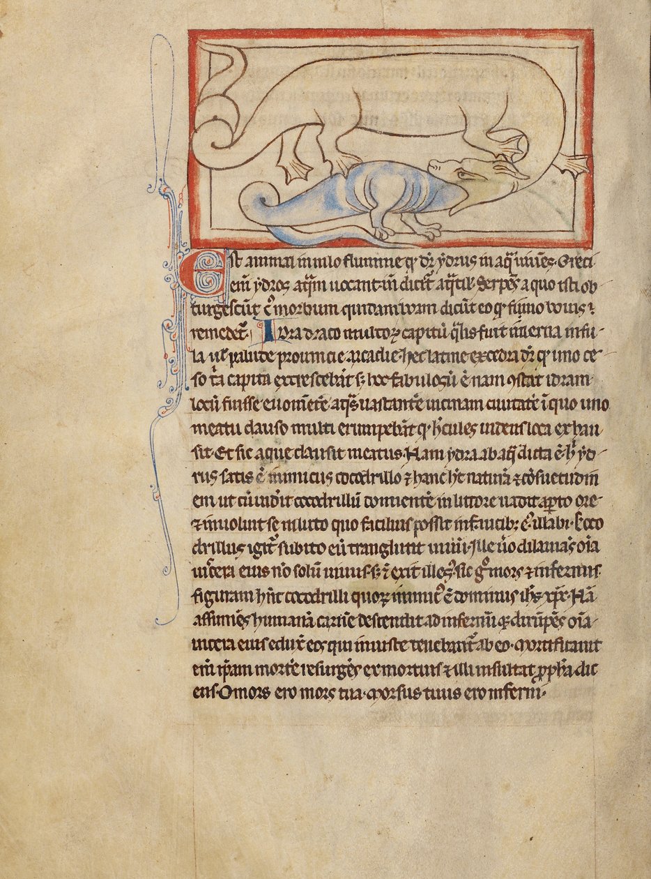 A Hydrus alkotó: Unknown artist
