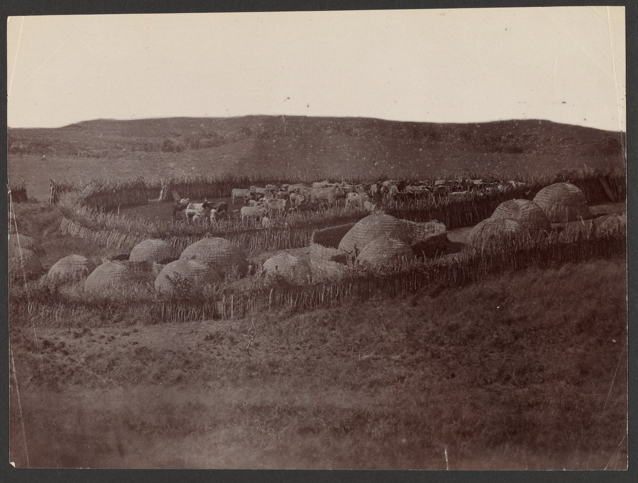 A Kraal, Zulu Land alkotó: Unknown artist