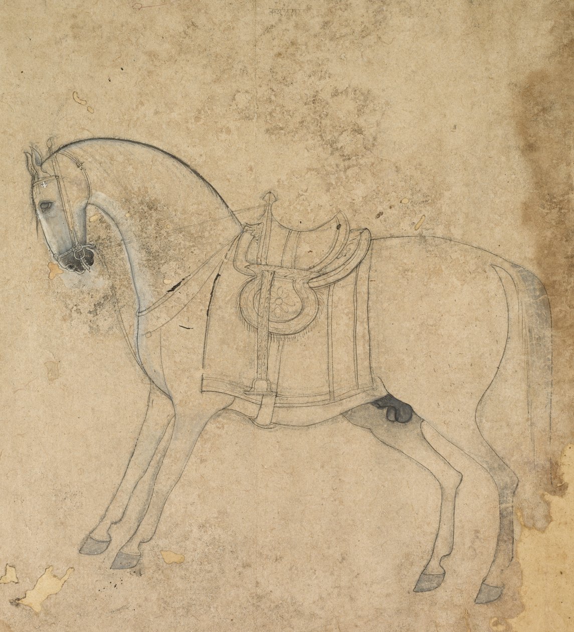 Egy nyerges ló alkotó: Unknown artist