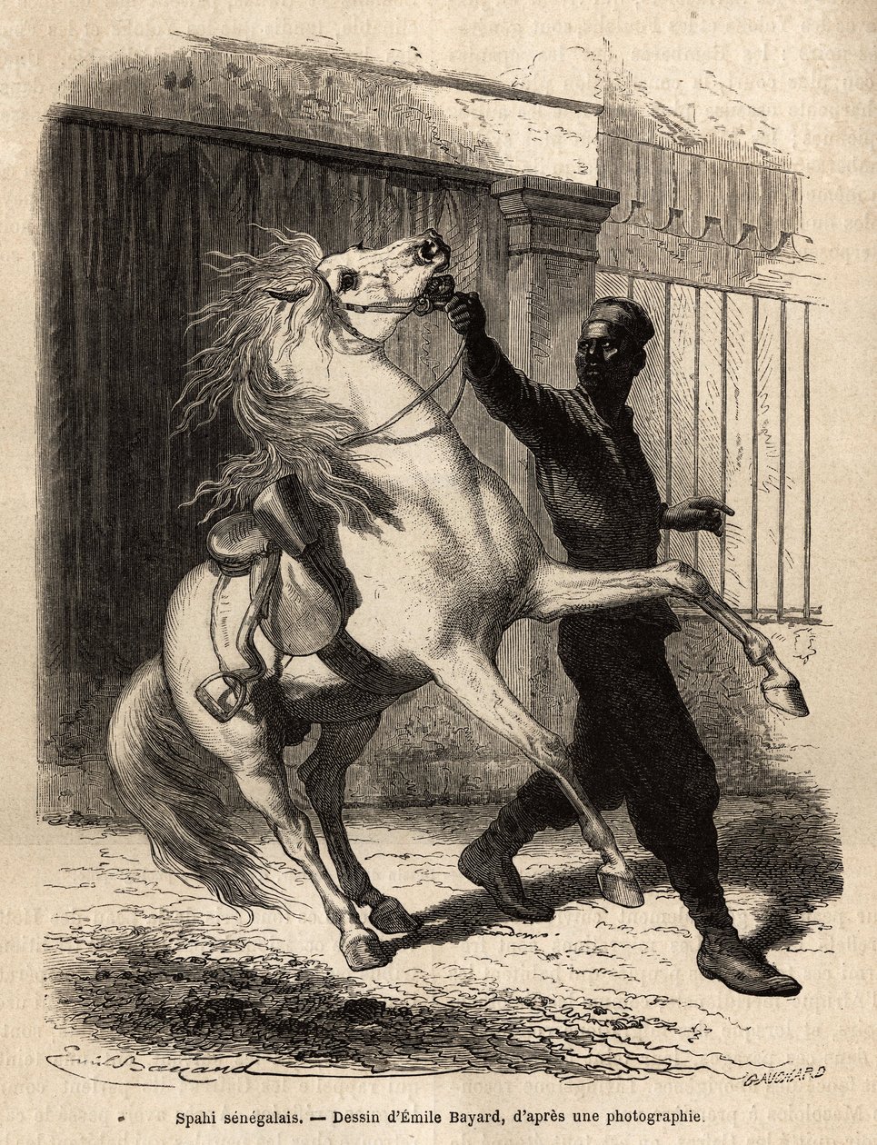 Egy szenegáli spahi (cavalier) Saint-Louis-ban (Saint Louis). Fleuriot de Langle altengernagy által 1868-ban készült metszet az afrikai tengerparti körutazás illusztrálására, megjelent a „Le tour du monde”” 1872-ben, szerkesztette Edouard Charton, Hachette alkotó: Unknown artist