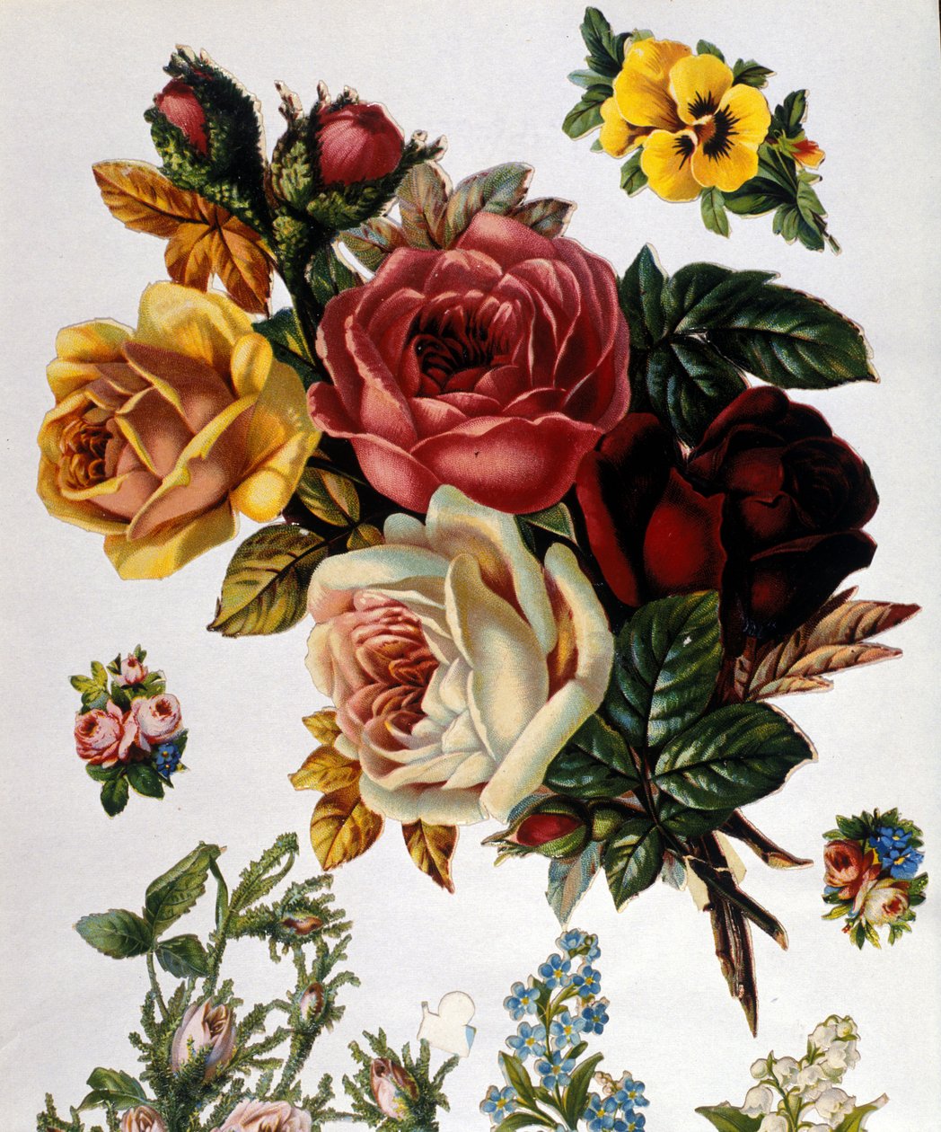 Egy csokor rózsa. 19. századi kromolitográfia. alkotó: Unknown artist