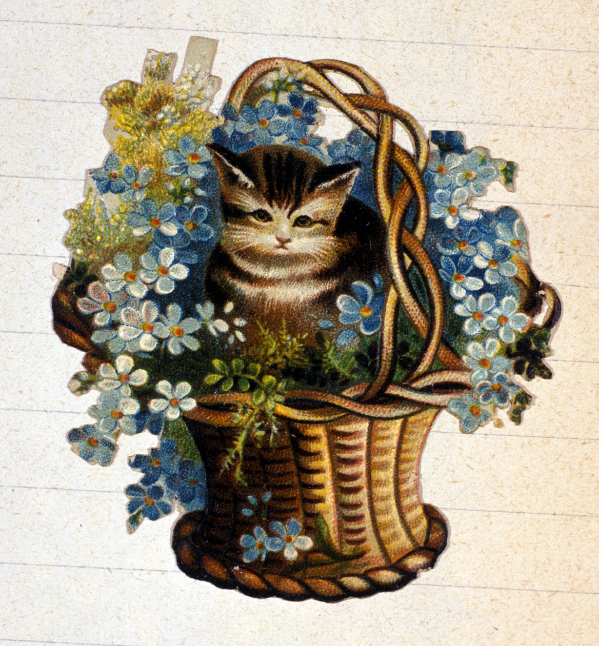 Egy macska egy virágkosárban. 19. századi kromolitográfia. alkotó: Unknown artist