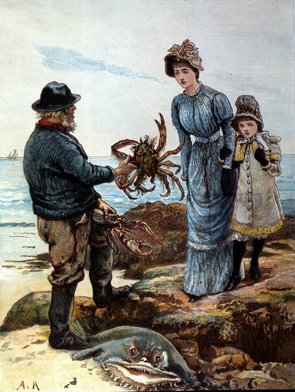 Egy halász egy nagy rákot mutat anyjának és lányának. alkotó: Unknown artist