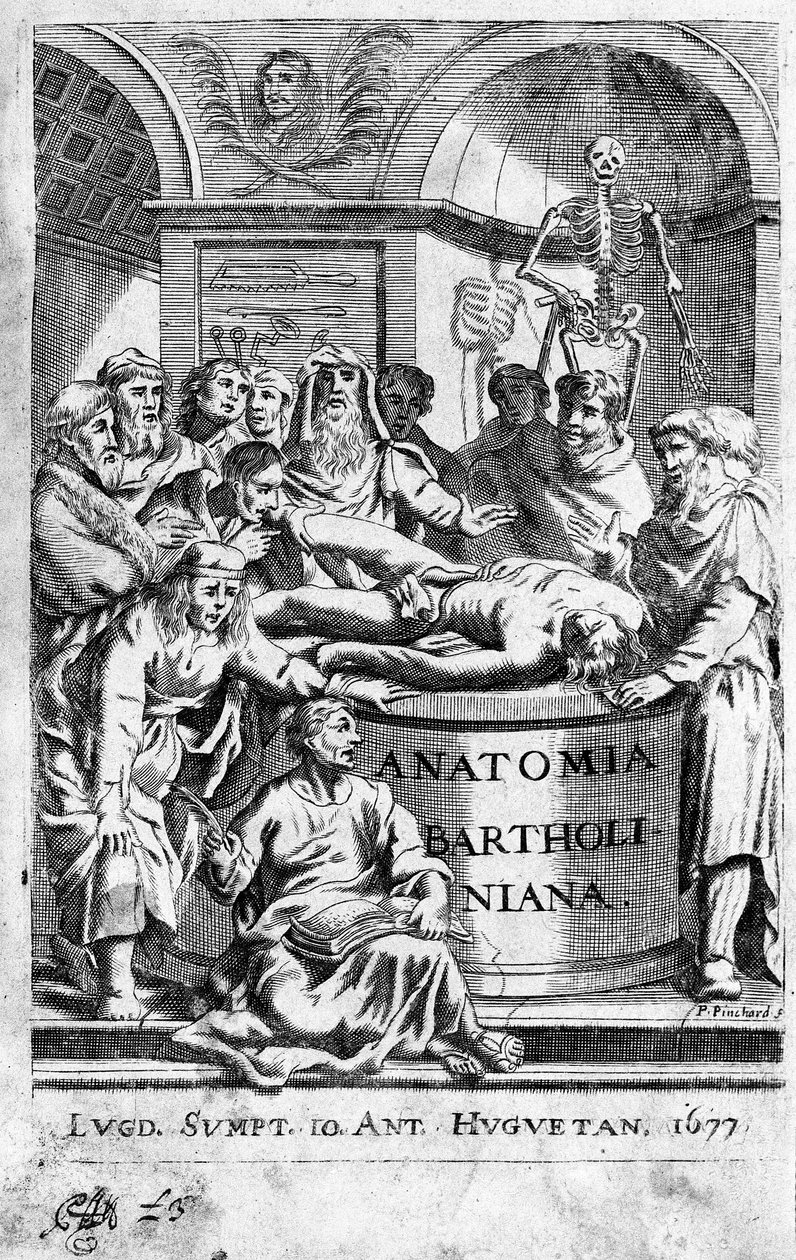 Az anatómiai leckét Frontispice átvesz Thomas Bartholin (1616-80) (Bartholinus) „Anatomia Reformata”-ból, 1677 alkotó: Unknown artist