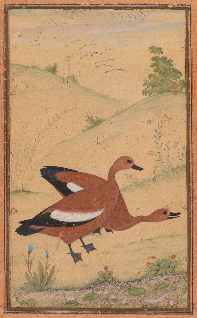 Egy pár Brahminy kacsa alkotó: Unknown artist