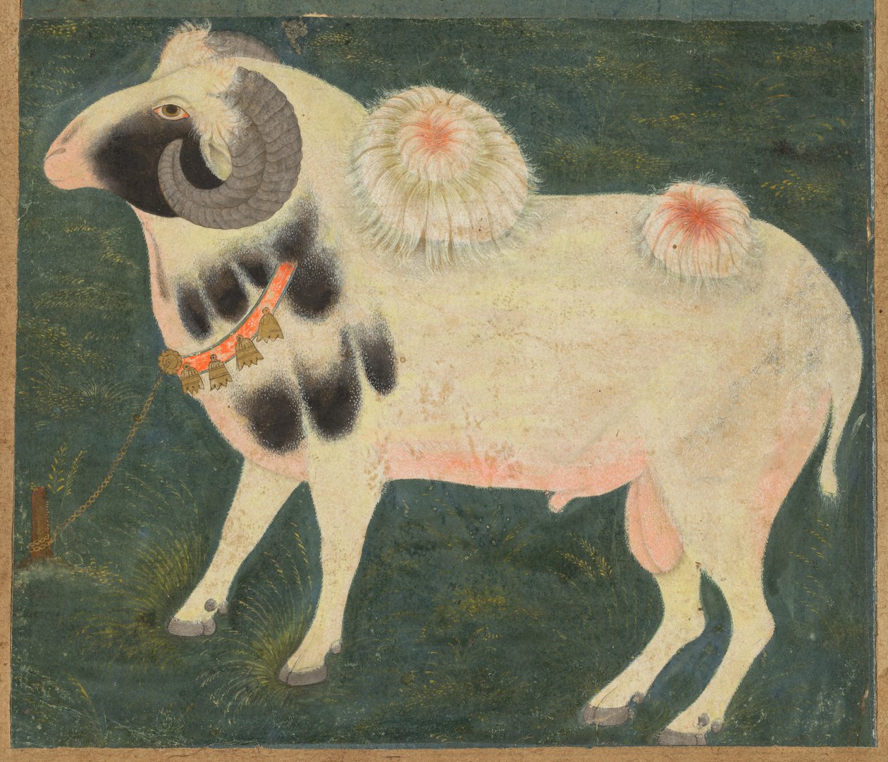 Egy királyi kos aranylánccal alkotó: Unknown artist