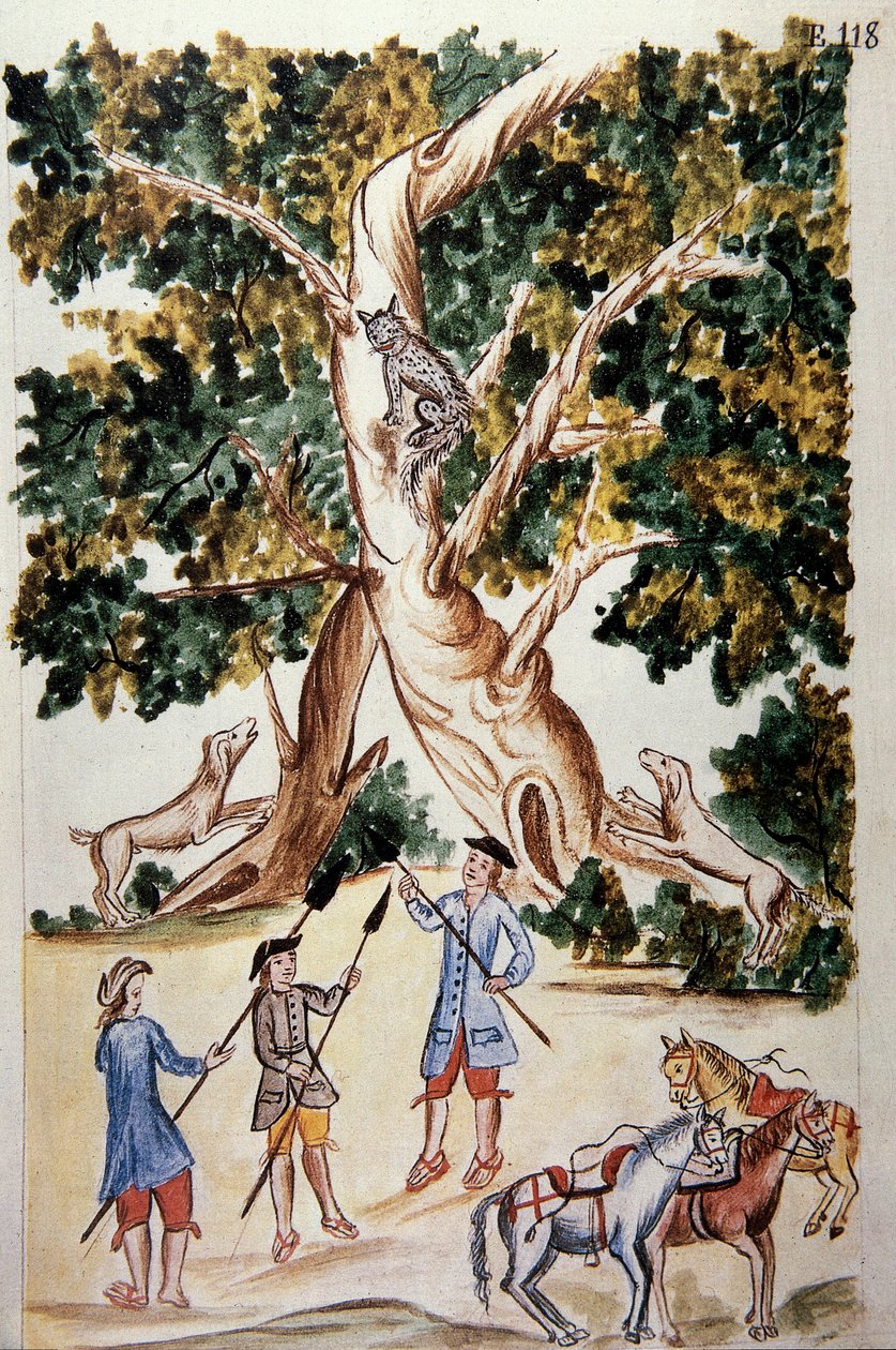 Vadmacska ül egy fán, vadászok várják, Baltazar Martinez Companion és Bujanda, Trujillo püspöke (1782-1785) "Trujillo del Peru" vagy "Codex Martinez Companion" című könyvéből alkotó: Unknown artist