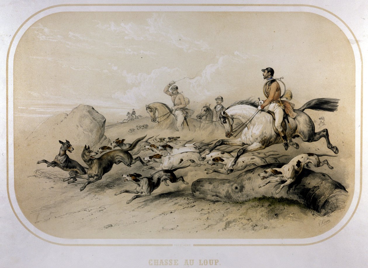 Farkasvadászat. 19. századi metszet. alkotó: Unknown artist