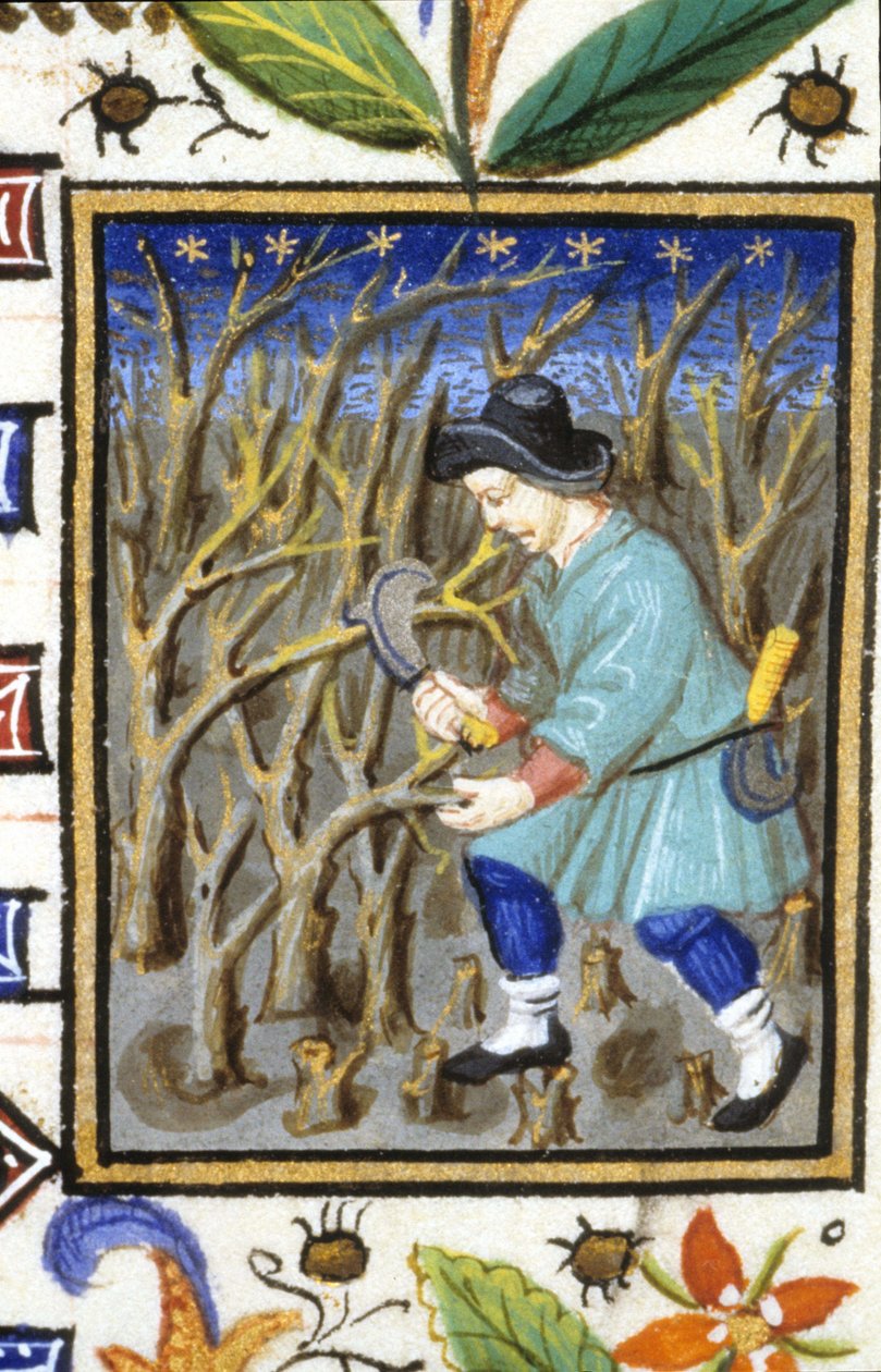 Március allegorikus ábrázolása. Egy férfi cserjéket vág (rajz). 14. századi kézirat miniatűrje. alkotó: Unknown artist