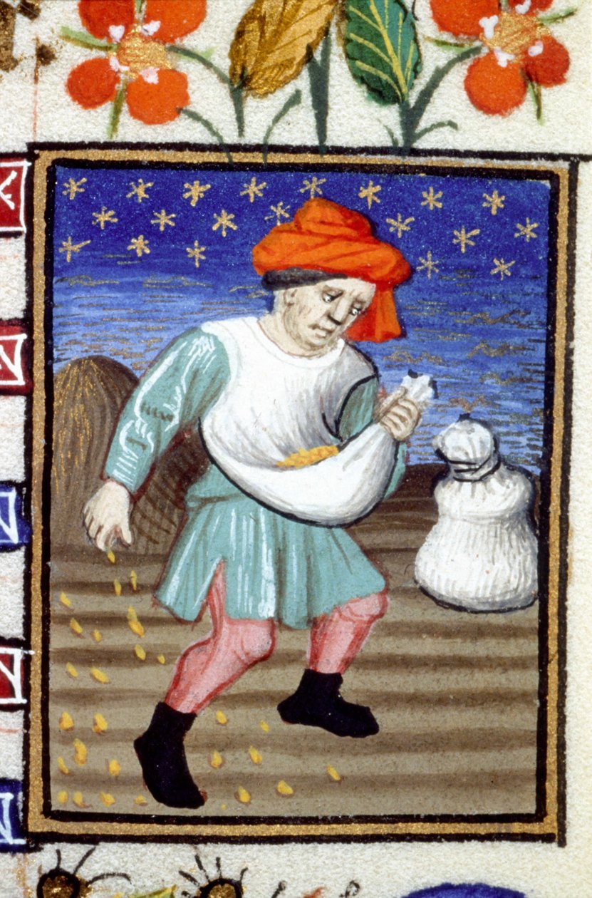 Október allegorikus ábrázolása. Gabonát vető paraszt. 14. századi kézirat miniatűrje. alkotó: Unknown artist