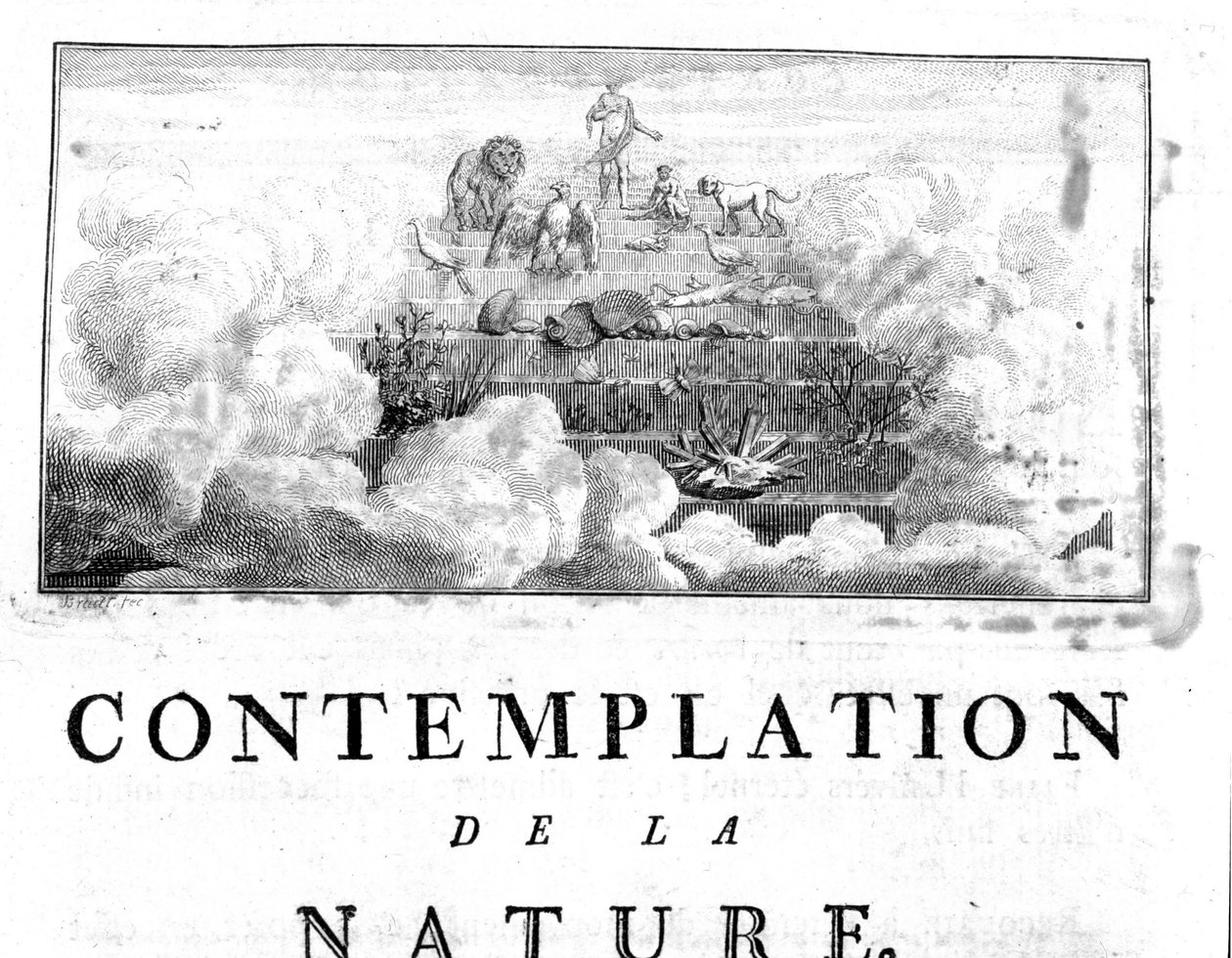 Az ásványok emberi evolúciójának allegorikus ábrázolása, növény- és állatfajokon áthaladva Charles Bonnet, Contemplation of Nature, Neuchatel alkotó: Unknown artist