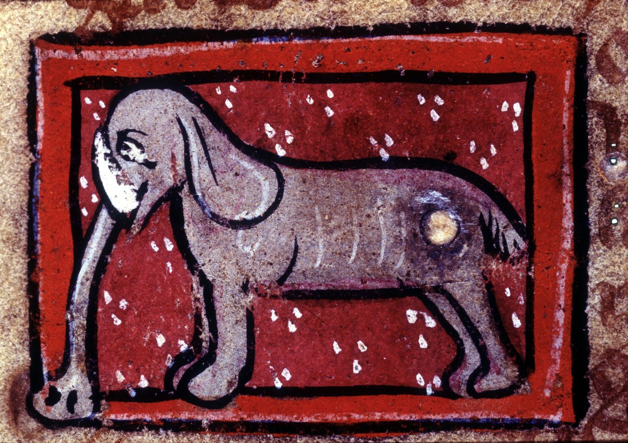 Egy elefánt - bestiárium a 14. században. Milánó, Biblioteca Trivulziana. alkotó: Unknown artist