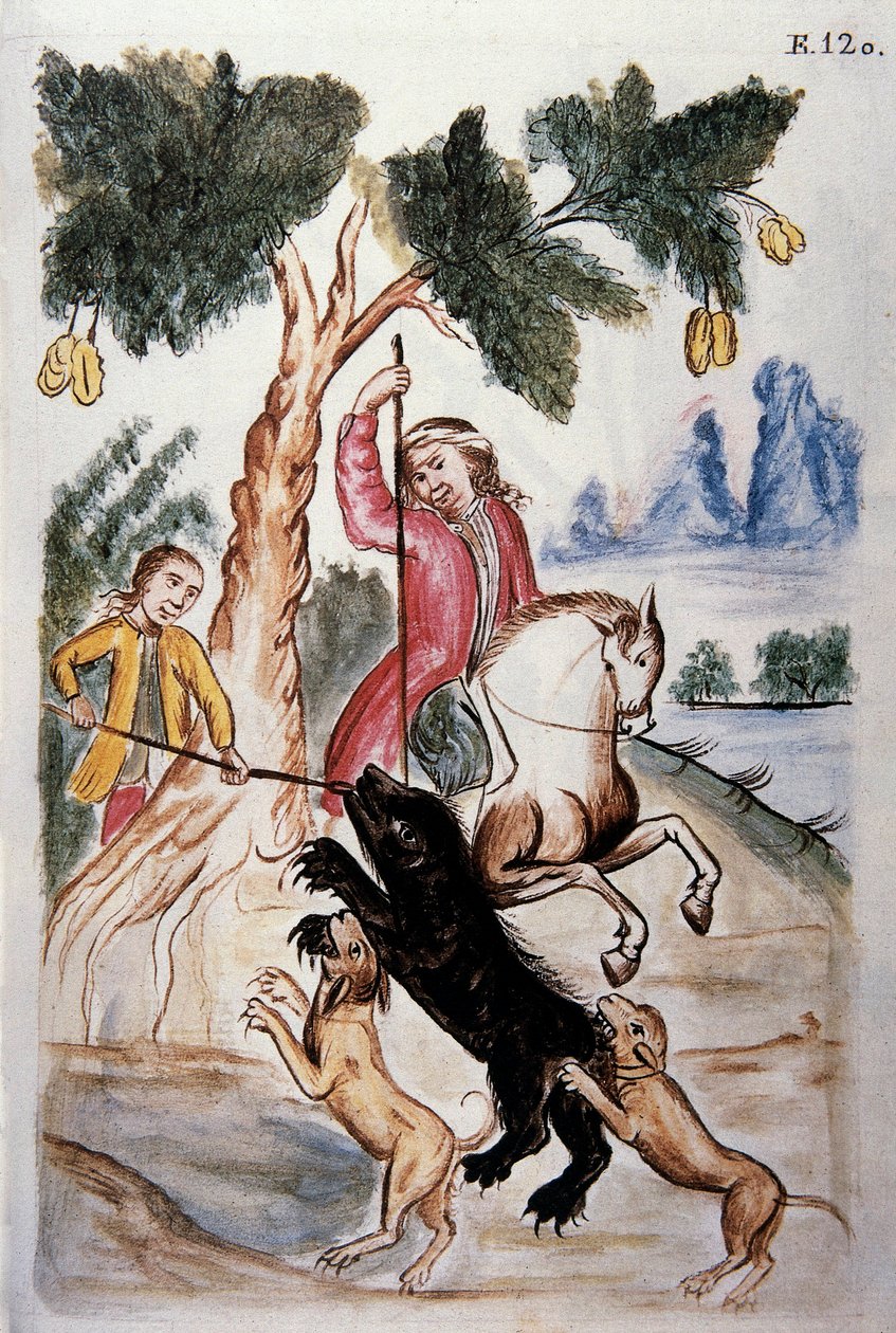 Medvevadászat, Balthazar Martinez Companion és Bujanda, Trujillo püspöke (1782-1785) "Trujillo of Peru" vagy "Codex Martinez Companion" című könyvéből alkotó: Unknown artist