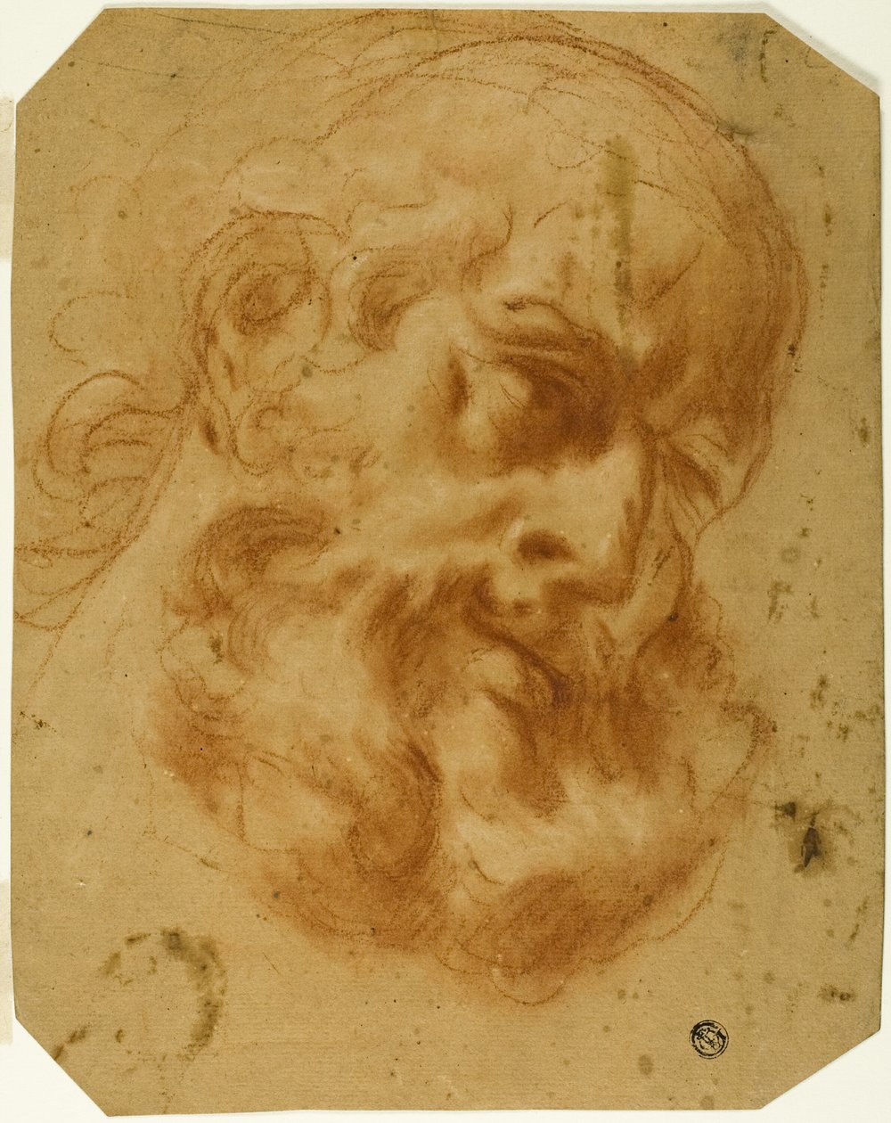 Szakállas fej alkotó: Unknown artist