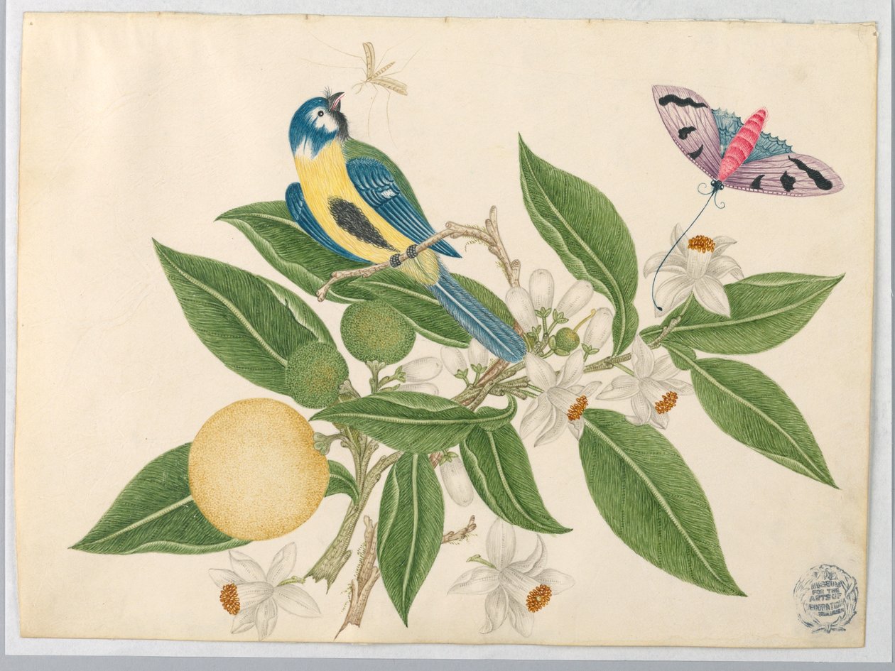 Madár narancssárga ágon pillangóval alkotó: Unknown artist